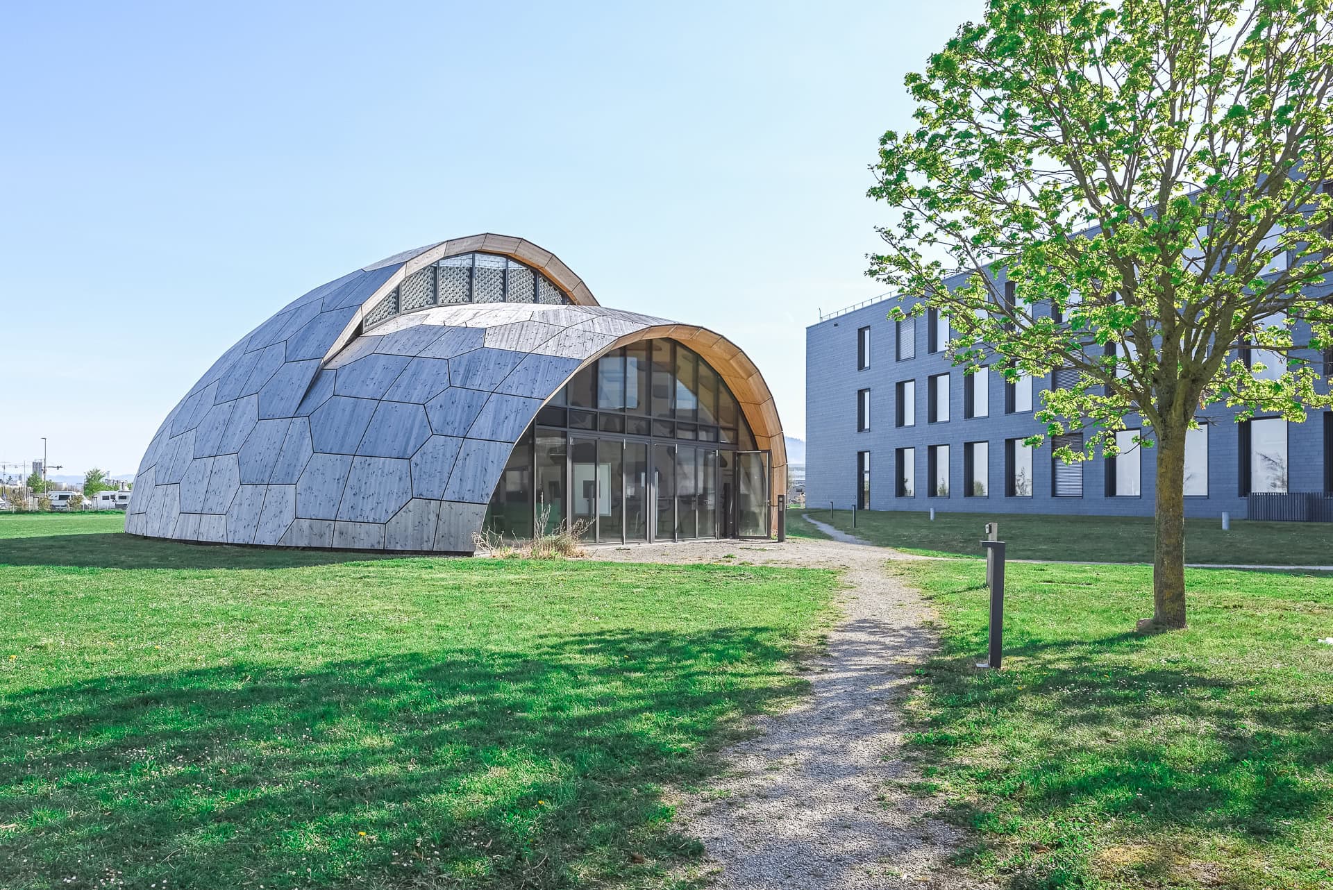 Kuppelförmiger Holzbau von FIT Materialforschung Freiburg mit Glasfront im Grünraum. Architektur von ArGe Architekten, Leins | Ohnemus, Freie Architekten | Part mbB. Foto: Bertrand Weiss, weissfotografie.com.