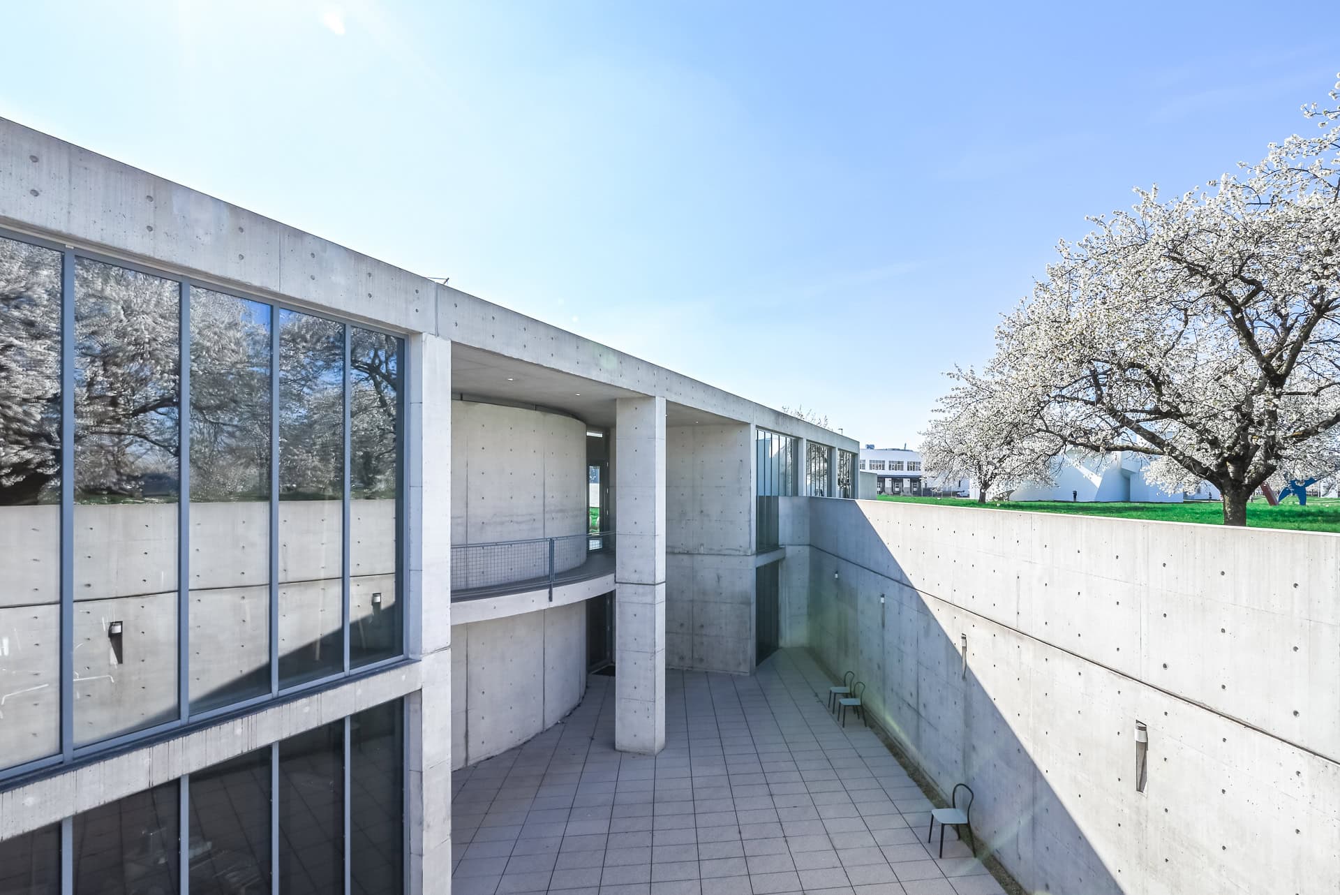 Außenansicht des Vitra Konferenzpavillons mit Glasfassade, Sichtbeton und blühenden Bäumen. Architektur von Tadao Ando. Foto: Bertrand Weiss, weissfotografie.com.