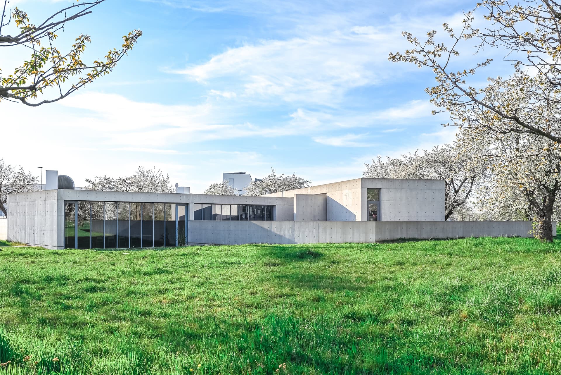 Flacher Baukörper des Vitra Konferenzpavillons im Grünraum mit Sichtbeton, Glasflächen und Obstbäumen. Architektur von Tadao Ando. Foto: Bertrand Weiss, weissfotografie.com.